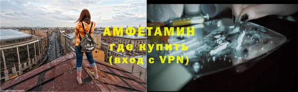 крисы Надым