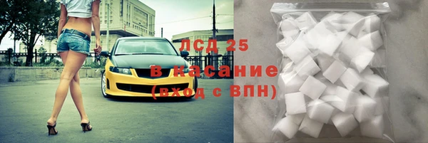 крисы Надым