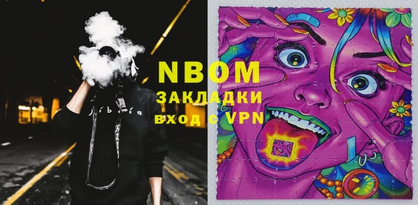крисы Надым