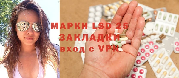крисы Надым