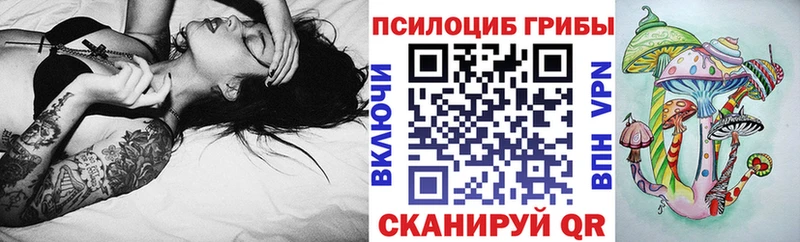 Псилоцибиновые грибы Psilocybe  Оханск 